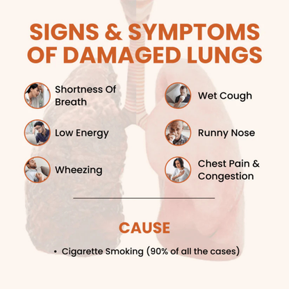 Lung Detox | Reset Your Lungs in 3 Months